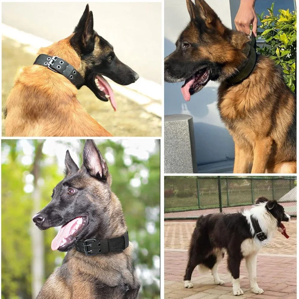 Size M SunteeLon Tactical Dog Collars Adjustable Thick Nylon Dog Collar with Ha…